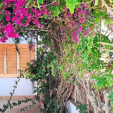 Szálloda Casa De Flamingos 5*